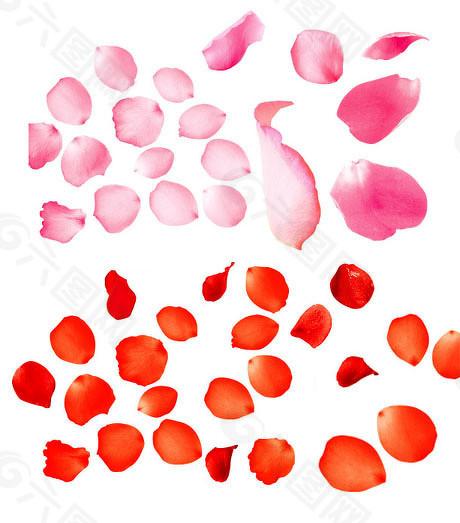 嘉创配资 “巨无霸”蚂蚁集团打新火爆，热潮退后高估值还是高价值待考