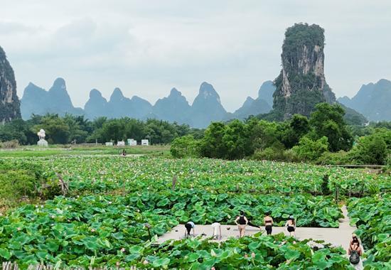 利好优配 阳朔民宿：在山水间打造国际旅居新名片