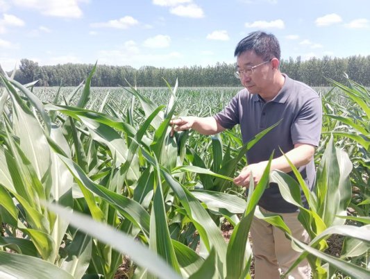 鑫策略 马煜平：致力破解“地怎么种”“谁来种”难题