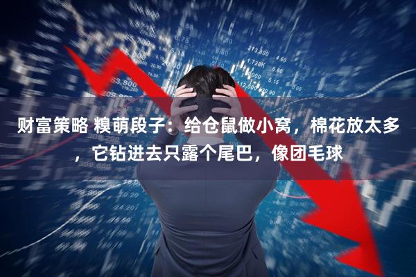 财富策略 糗萌段子：给仓鼠做小窝，棉花放太多，它钻进去只露个尾巴，像团毛球