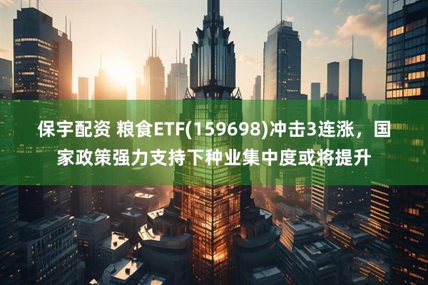 保宇配资 粮食ETF(159698)冲击3连涨，国家政策强力支持下种业集中度或将提升